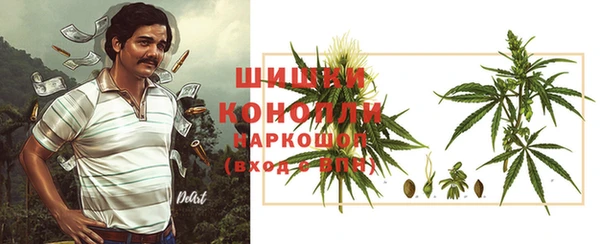 стаф Няндома